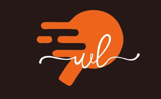 极简风橙色速度感logo设计