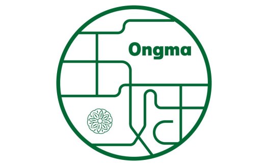 简约线条与花卉元素的Ongma logo设计