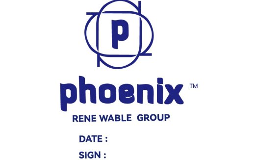 凤凰集团标志设计