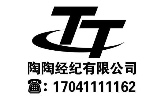 简约现代的TT字母标志设计