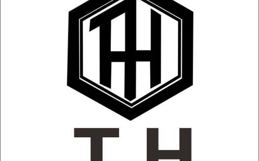 简约现代风格的TH字母组合logo设计