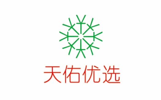 简约绿色雪花logo设计