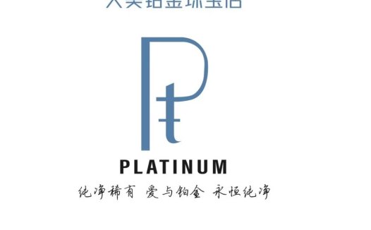 简约优雅的铂金珠宝店Logo设计