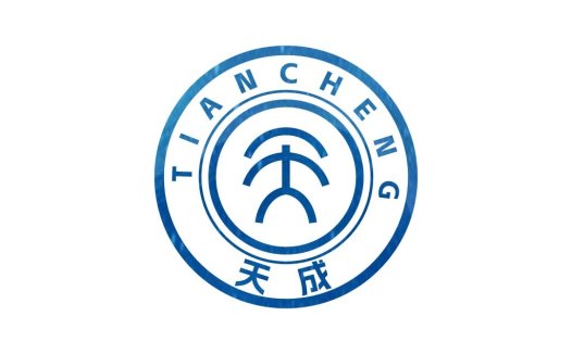 天成logo设计:简洁现代企业标识