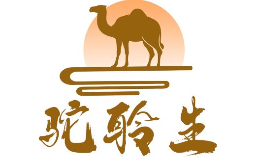 骆驼日落logo设计