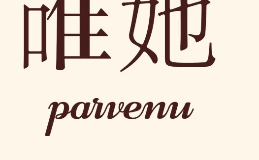 唯她logo设计:简约优雅品牌标识