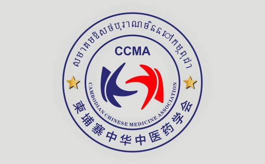 CCMAA中医疗法协会logo设计