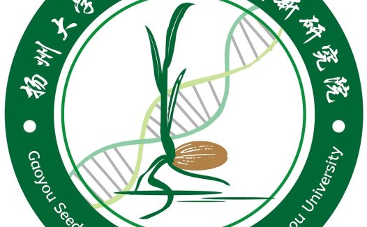 种子创新研究院logo设计