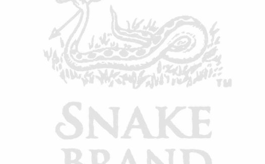 蛇形图案品牌logo设计