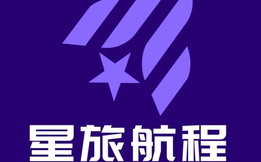 紫色星空飞行器logo设计