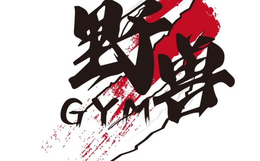 野蛮健身房logo设计