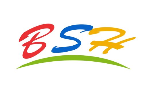 彩色流线型BSH logo设计