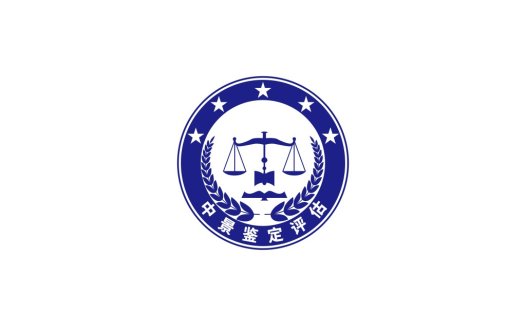 法律评估机构专业logo设计