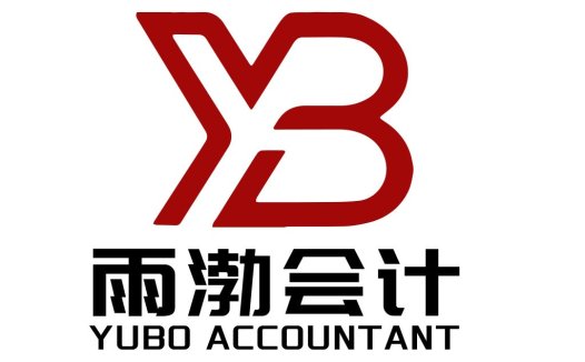 专业会计logo设计:简洁现代风格