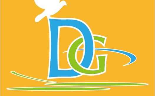 DG字母创意鸟形logo设计