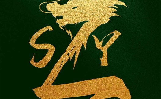 龙形logo设计：传统与现代的完美结合