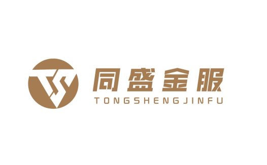 同盛金服logo设计