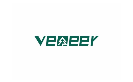 Veeeer logo设计:简约现代企业标识