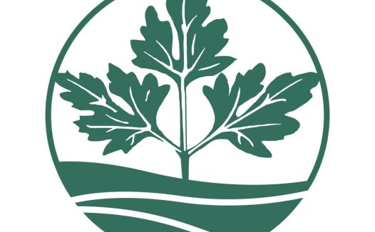 自然生态绿色植物logo设计