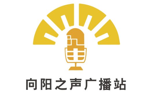 向阳之声广播站logo设计