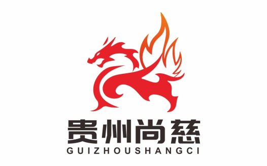 龙形火焰logo设计