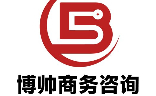 博帅商务咨询logo设计