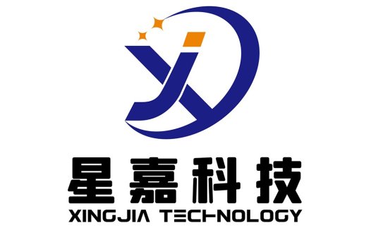 星嘉科技logo设计:现代简约风格