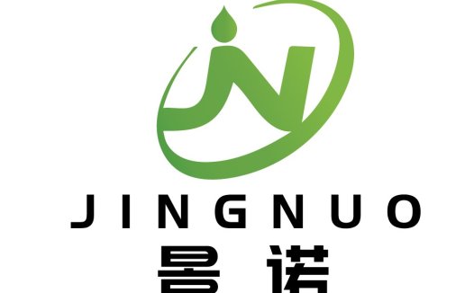 Jingnuo Logo设计:简洁现代企业标识