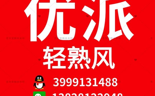 红色背景白色文字的简约logo设计