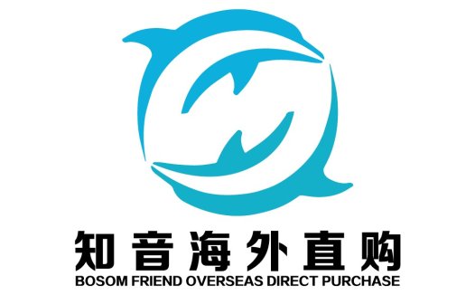 海豚跃动logo设计:简洁现代品牌标识