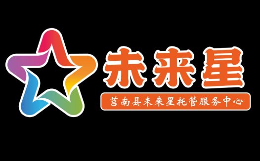未来星托管服务logo设计