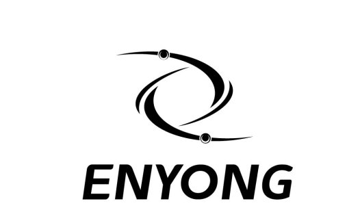 简约现代风格的ENYONG品牌logo设计
