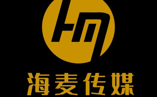 简洁现代的H&M标志设计