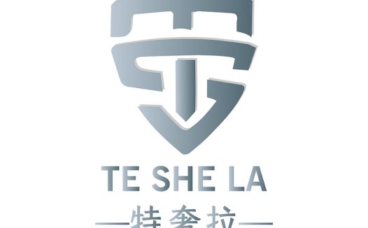 简约盾牌型logo设计