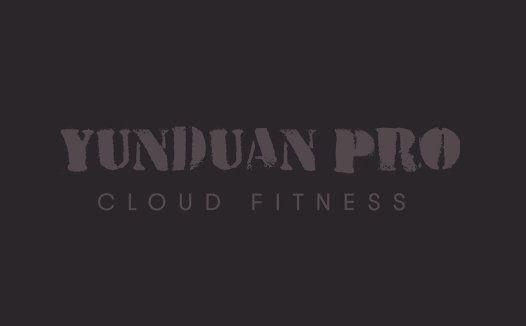 YUNDUAN PRO云健身Logo设计