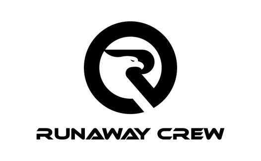 现代简洁鹰头Logo设计