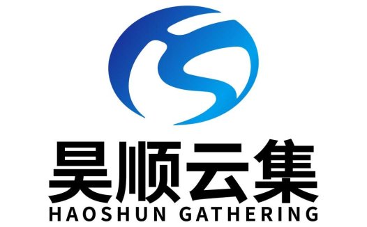 蓝色抽象S形logo设计