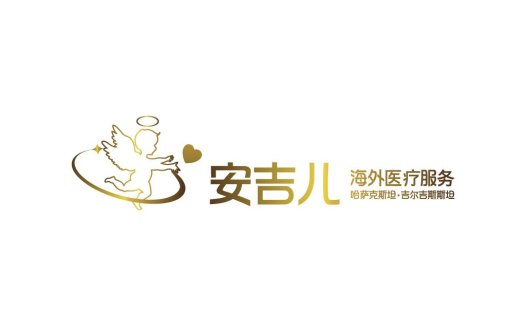 天使守护者-海外医疗服务logo设计