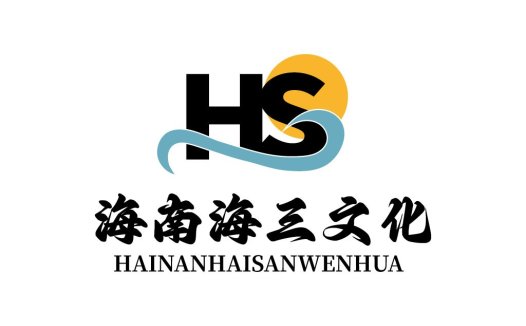 现代简洁HS字母logo设计