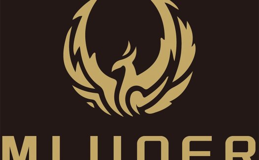 凤凰展翅logo设计