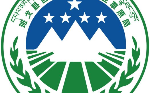 班戈县自然资源和林业局logo设计
