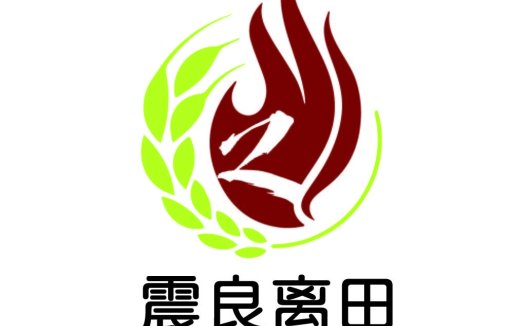 绿色火焰logo设计-自然环保行业