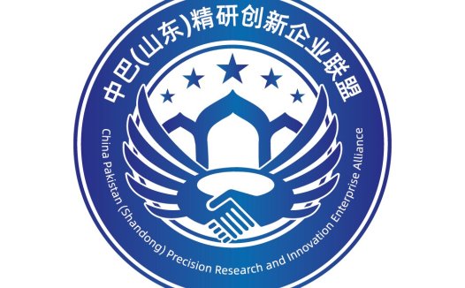 中巴(山东)精研创新企业联盟logo设计