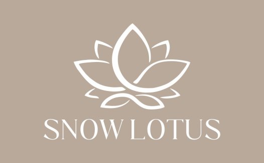 雪莲花标志设计:简约优雅的视觉传达
