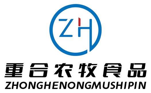 ZH品牌logo设计:简约现代风格