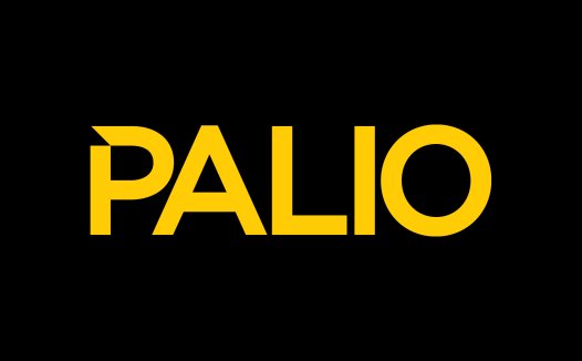 简约大气的PALIOI品牌logo设计
