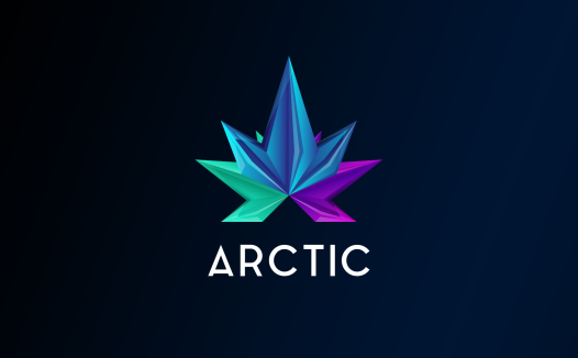 极简北极星Logo设计