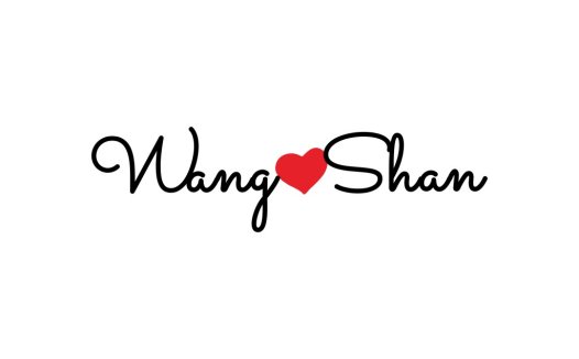 Wang Shan Logo设计:简洁心形元素