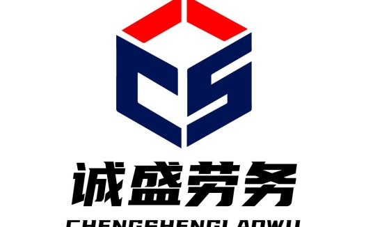 CS字母组合与立方体logo设计