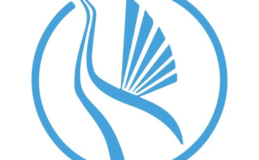 飞翔的海鸥logo设计